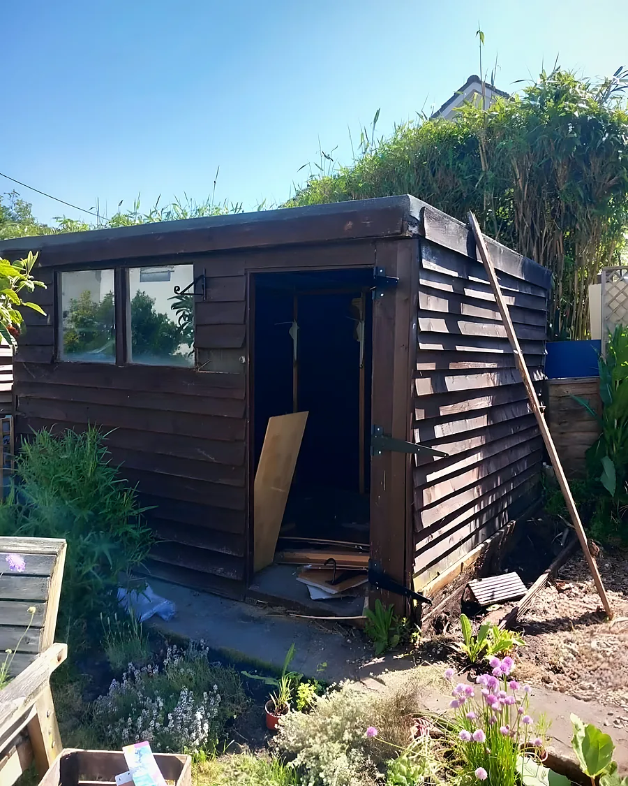 An old timber shed in a garden, its door open and a ladder against it