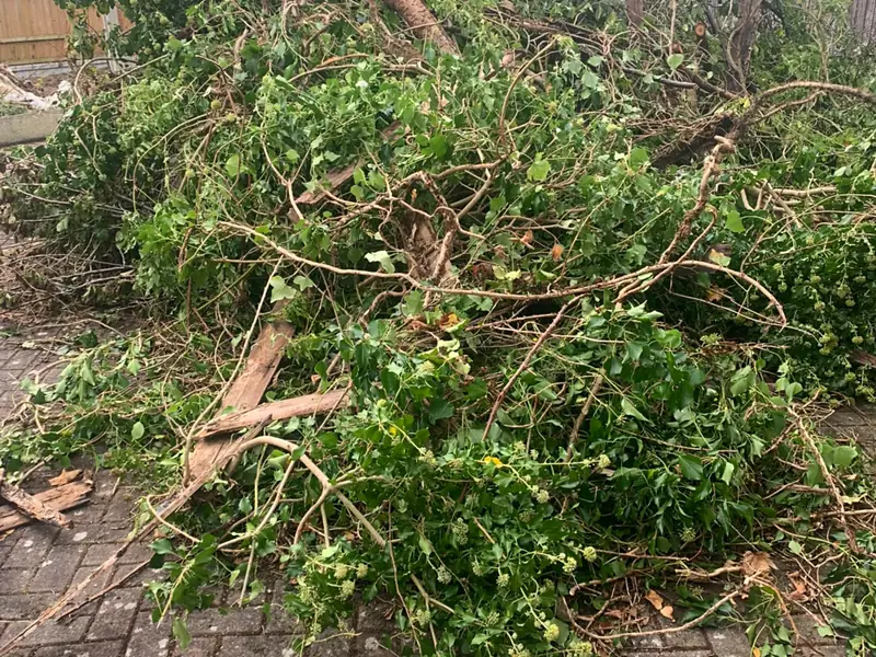 A large pile of cut branches, ivy and hedge cuttings on block paving, with a long cut limb lying across the top and a wooden fence behind