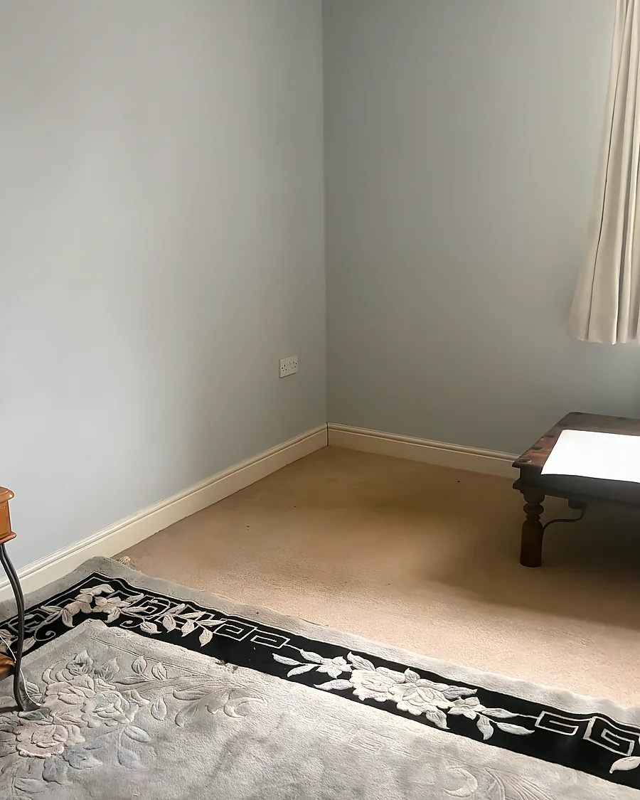 A living room emptied, only the rug and the curtain left