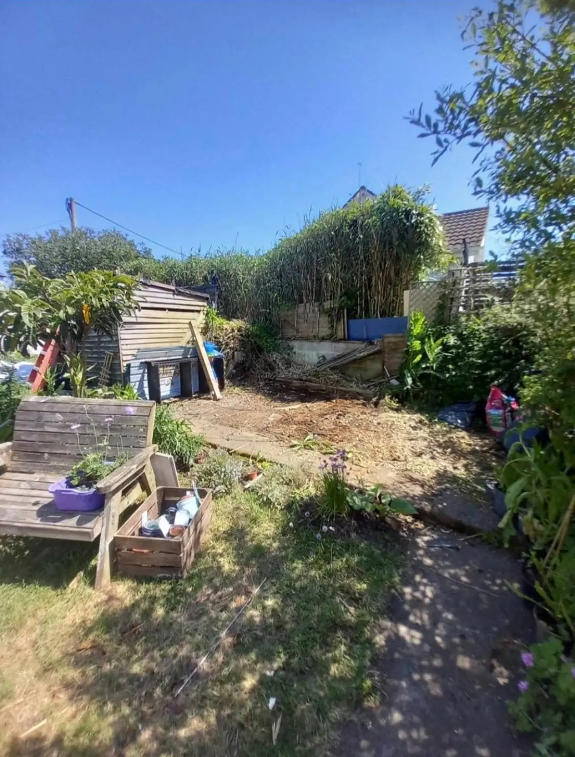 After. The same garden with the shed gone and bare ground where it stood, the bench still beside it