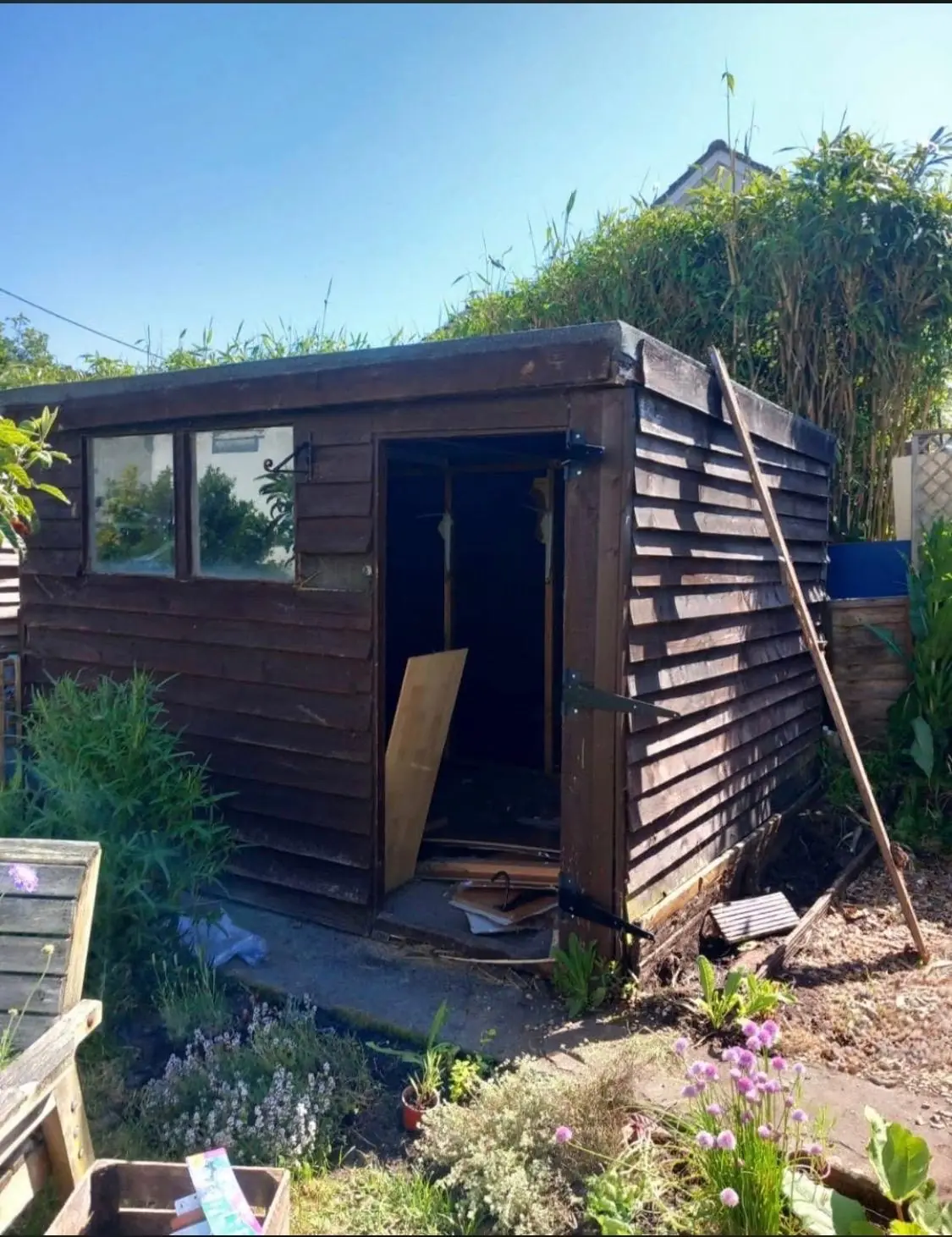 Before. A dark timber shed with its door off in a sunny back garden